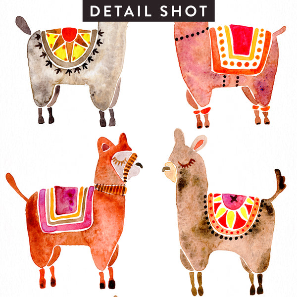 Alpacas  •  Art Print