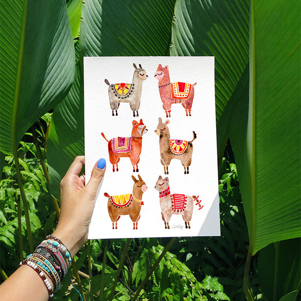 Alpacas  •  Art Print