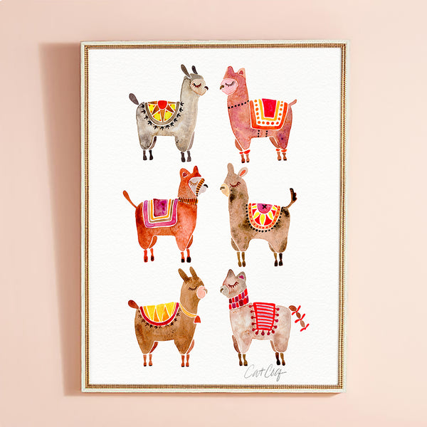 Alpacas  •  Art Print