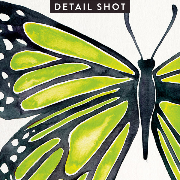 Butterfly – Lime Palette • Art Print