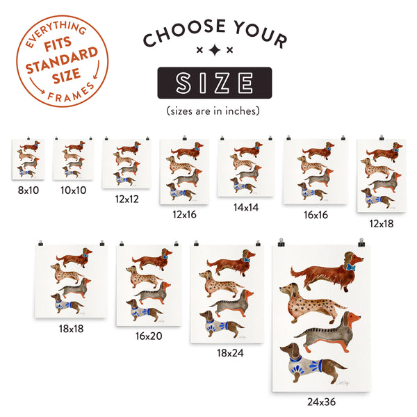 Dachshunds – White Background • Art Print