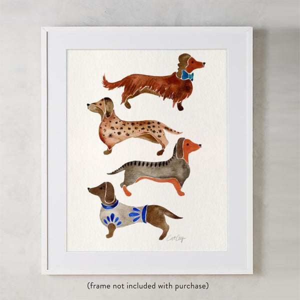 Dachshunds – White Background • Art Print