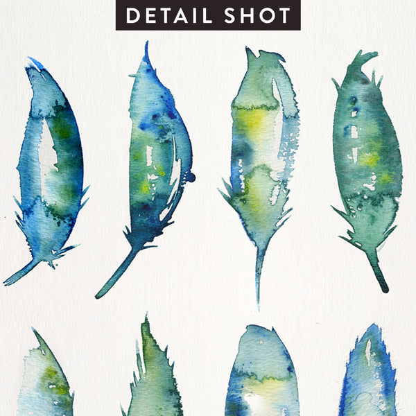 Feather Collection • Art Print
