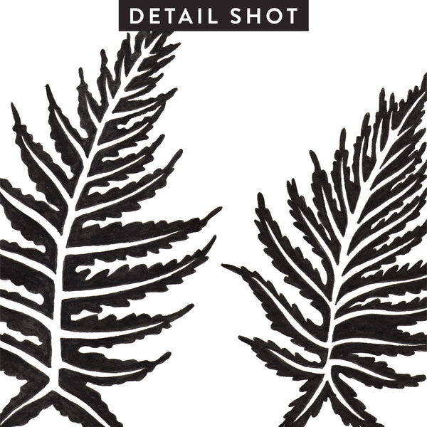 Inked Ferns – Black Ink • Art Print
