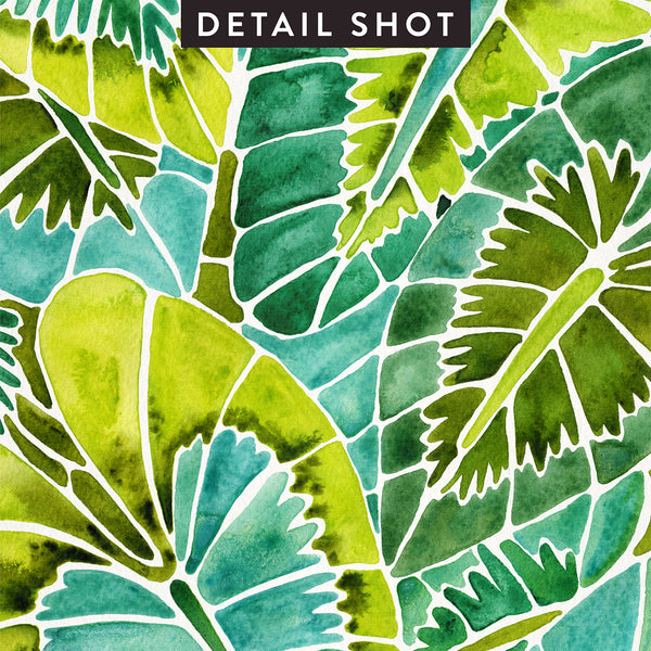 Schismatoglottis Calyptrata – Green Palette • Art Print