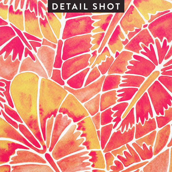 Schismatoglottis Calyptrata – Pink Palette • Art Print