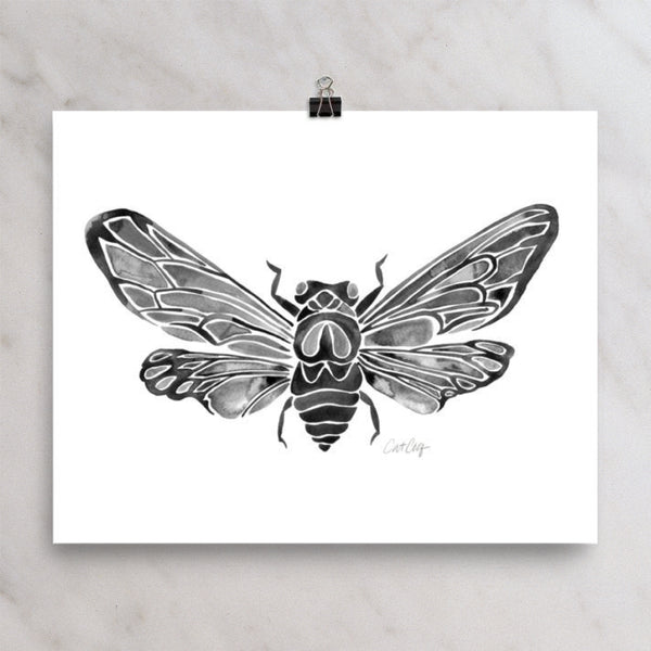 Summer Cicada – Black Palette • Art Print