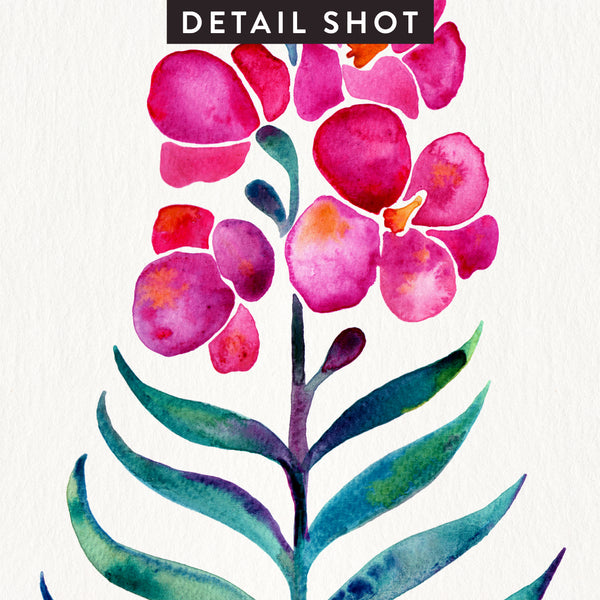 Orchid Bloom – Fuchsia & Indigo Palette • Art Print