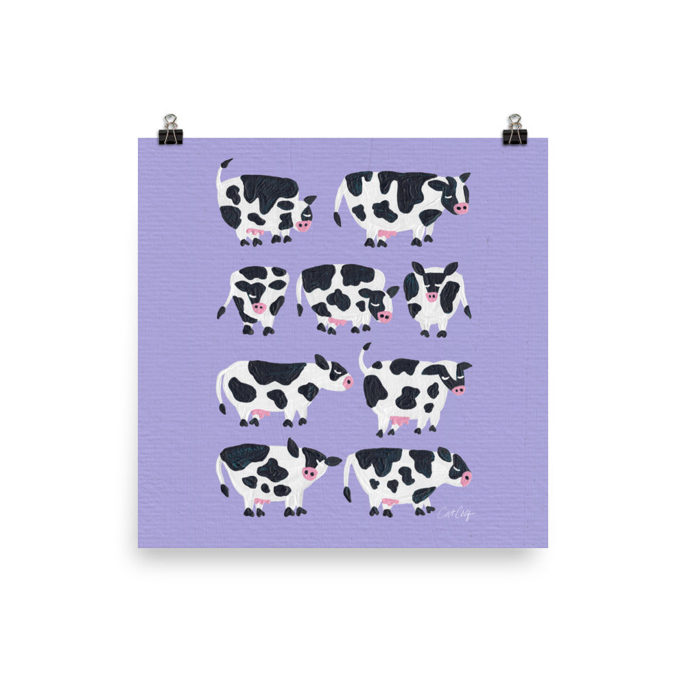 Cow Collection – Periwinkle