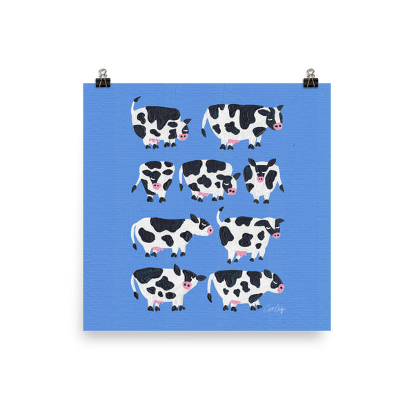 Cow Collection – Blue