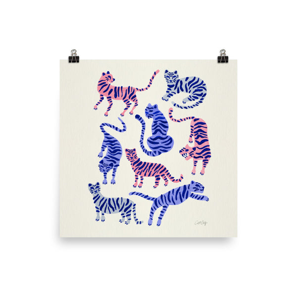 Tiger Collection - Periwinkle Blush