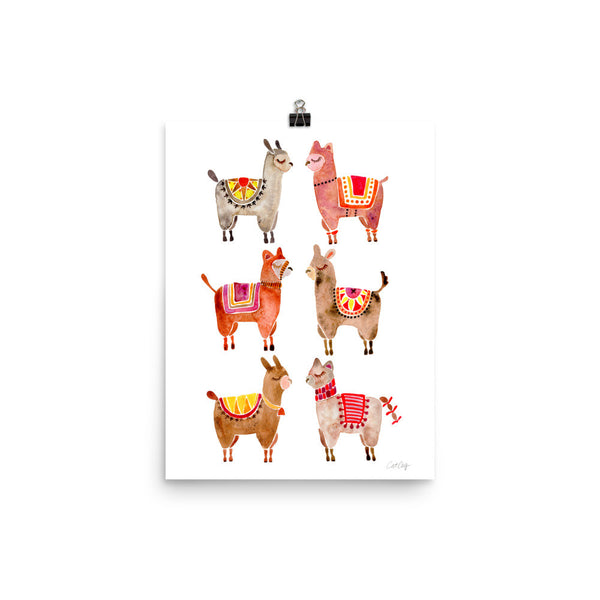 Alpacas  •  Art Print