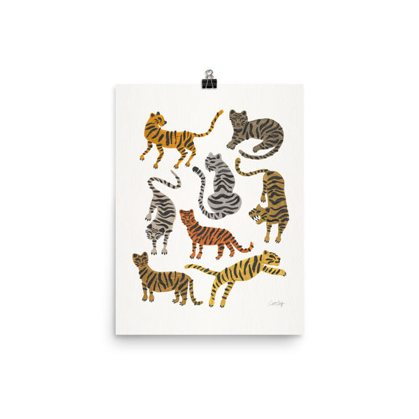 Tiger Collections - Neutrals