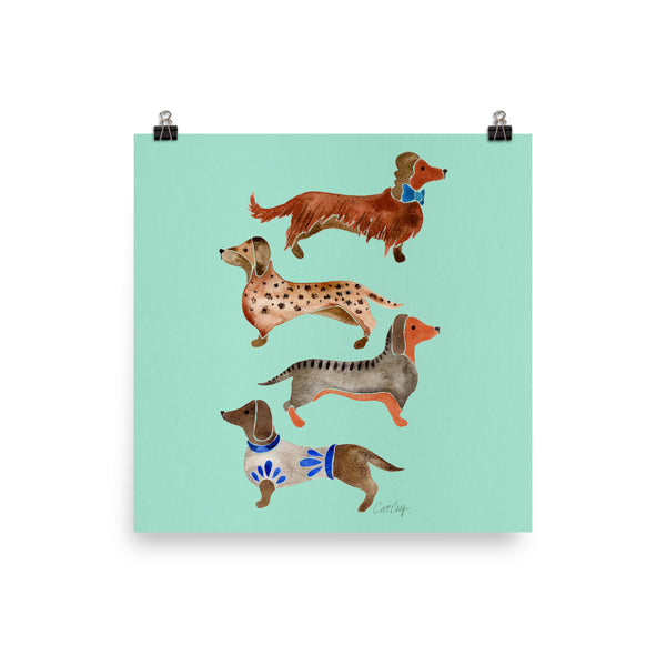 Dachshunds – Mint Palette • Art Print
