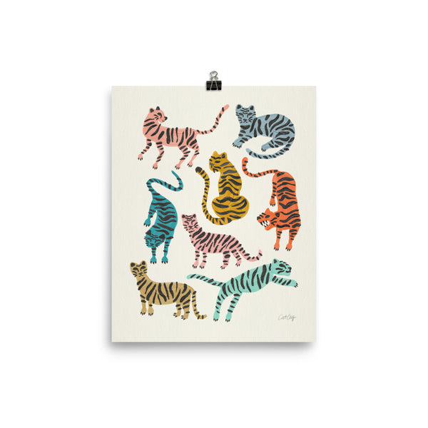 Tiger Collection - Retro Rainbow