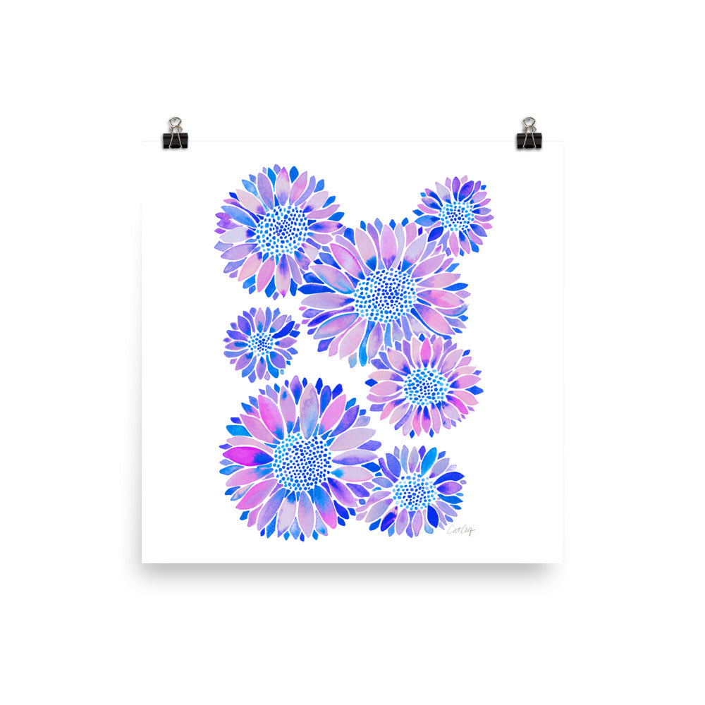 Sunflower Blooms – Indigo