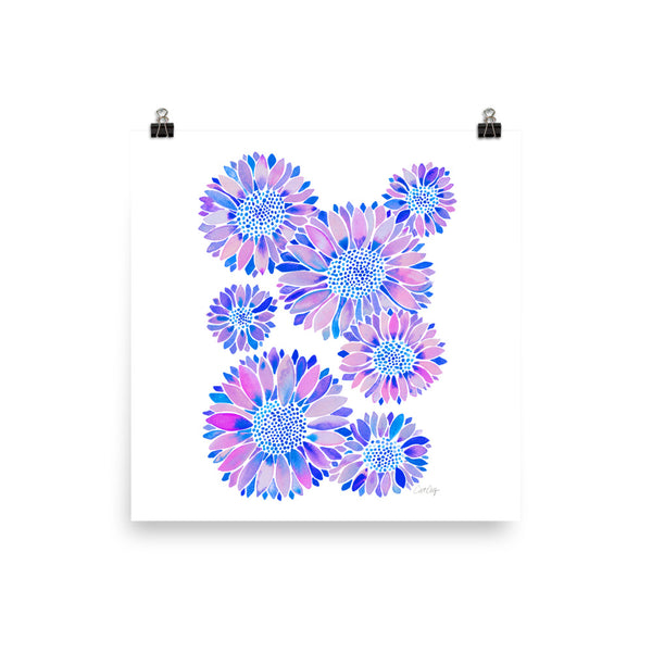 Sunflower Blooms – Indigo