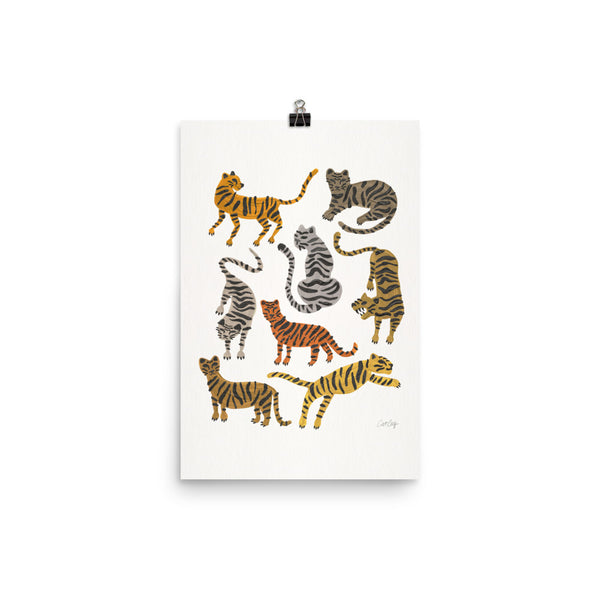 Tiger Collections - Neutrals