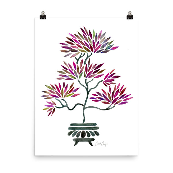 Bonsai - Fuchsia