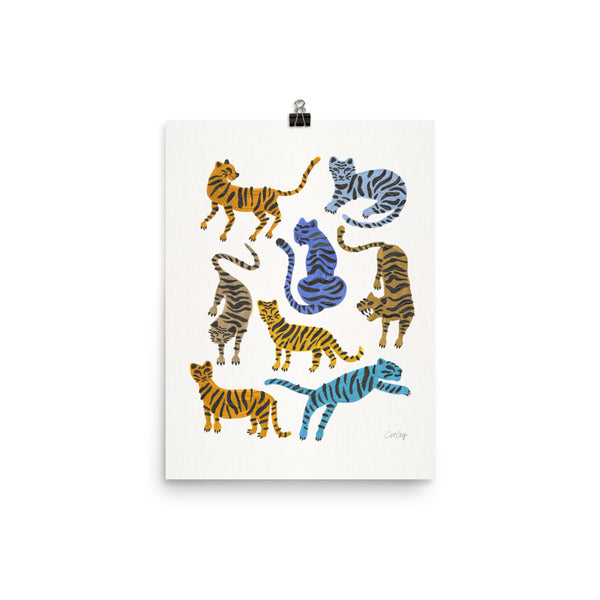 Tiger Collection - Blue & Tan