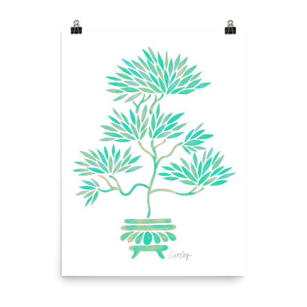 Bonsai  -Turquoise
