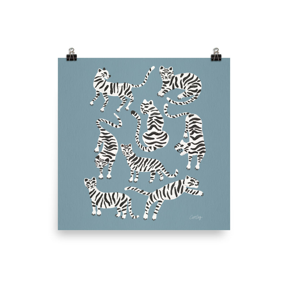 Tiger Collection - White on Blue