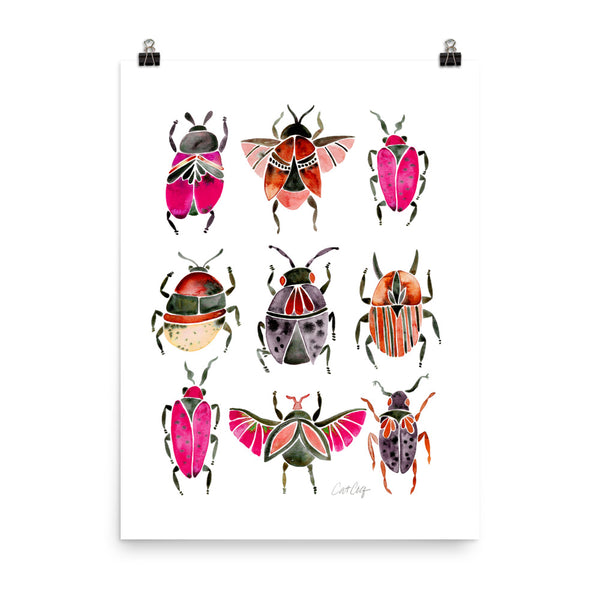 Beetle Collection - Pink Black