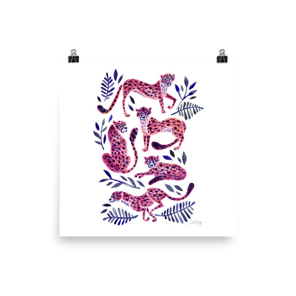Cheetah Collection - Mauve Indigo