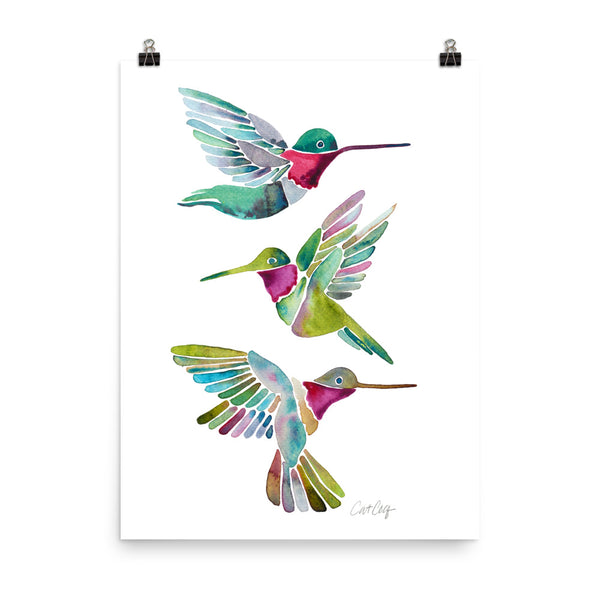 Humming Bird - Transparent