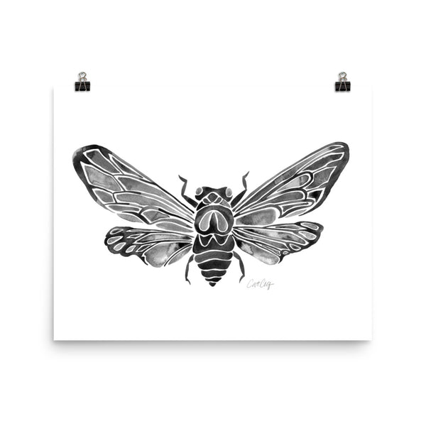 Summer Cicada – Black Palette • Art Print
