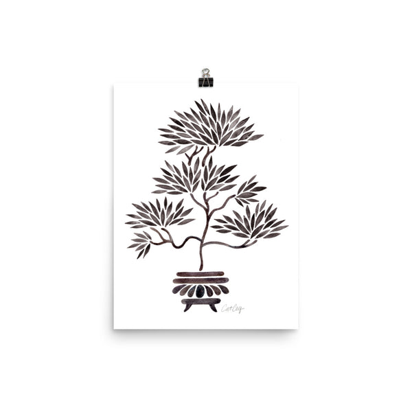 Bonsai- Black