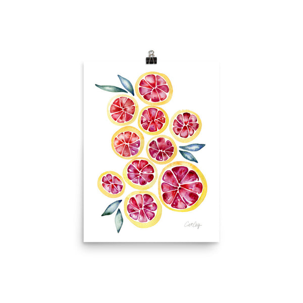 Grapefruit Slices • Art Print