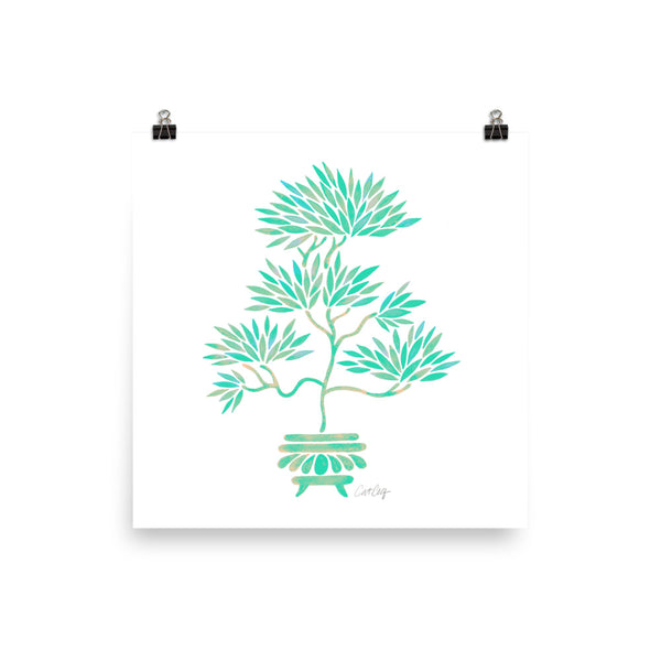 Bonsai  -Turquoise