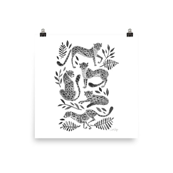 Cheetah Collection - Black