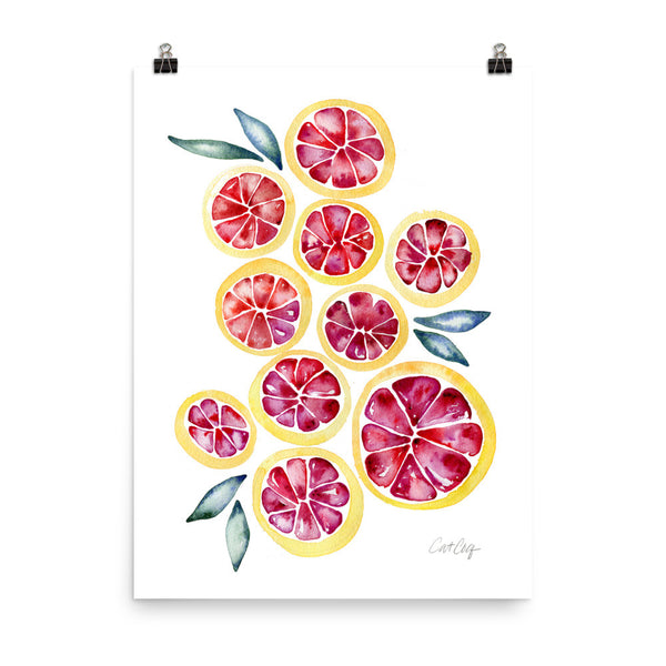 Grapefruit Slices • Art Print