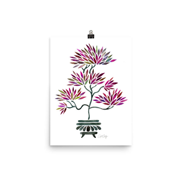 Bonsai - Fuchsia