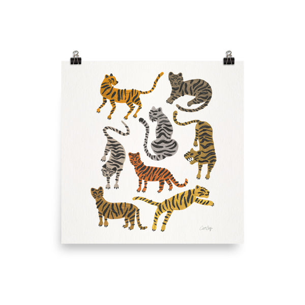 Tiger Collections - Neutrals