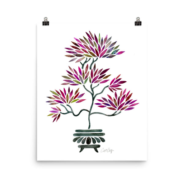Bonsai - Fuchsia