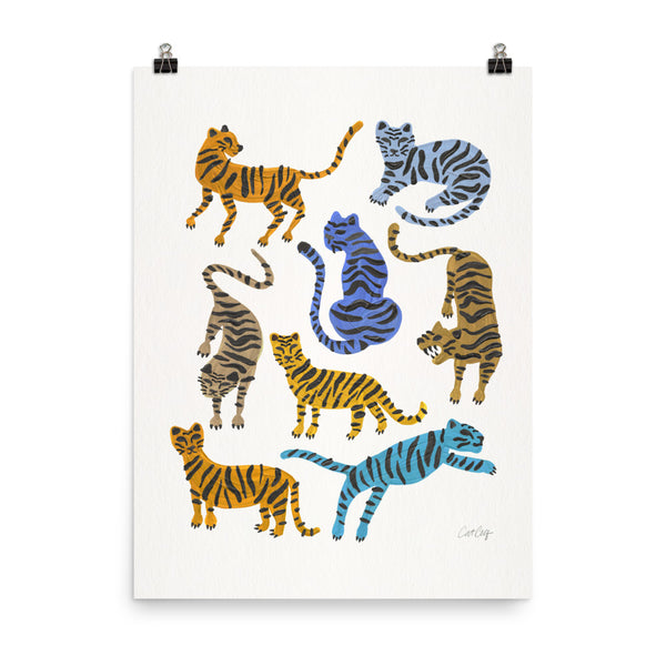 Tiger Collection - Blue & Tan