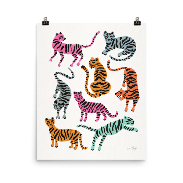 Tiger Collection - Pink & Blue