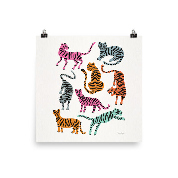 Tiger Collection - Pink & Blue