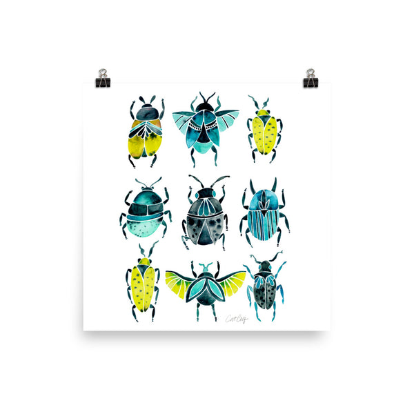 Beetle Collection - Lime Turquoise