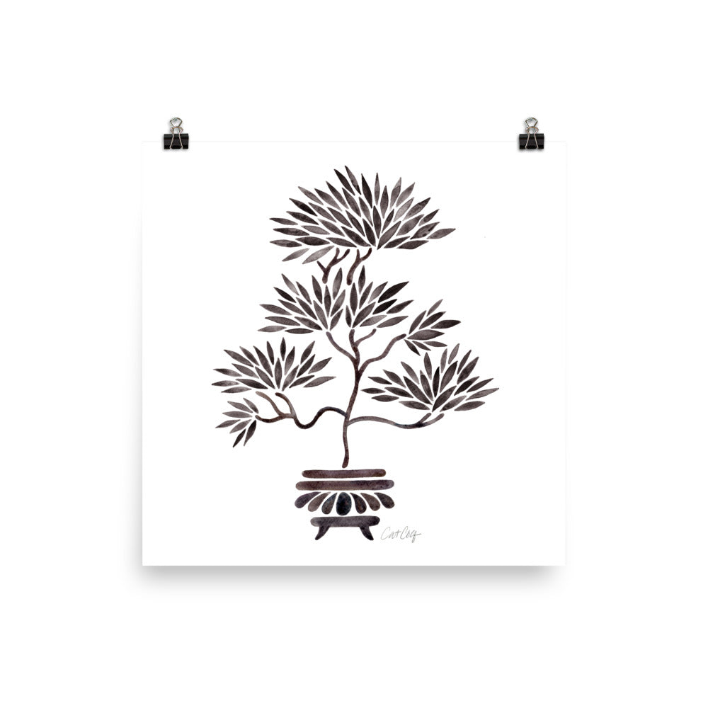 Bonsai- Black