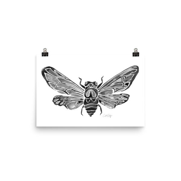 Summer Cicada – Black Palette • Art Print