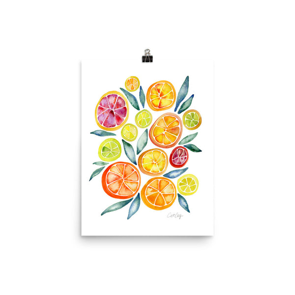 Citrus Slices • Art Print