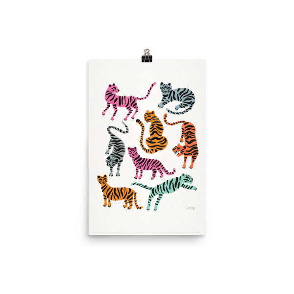 Tiger Collection - Pink & Blue