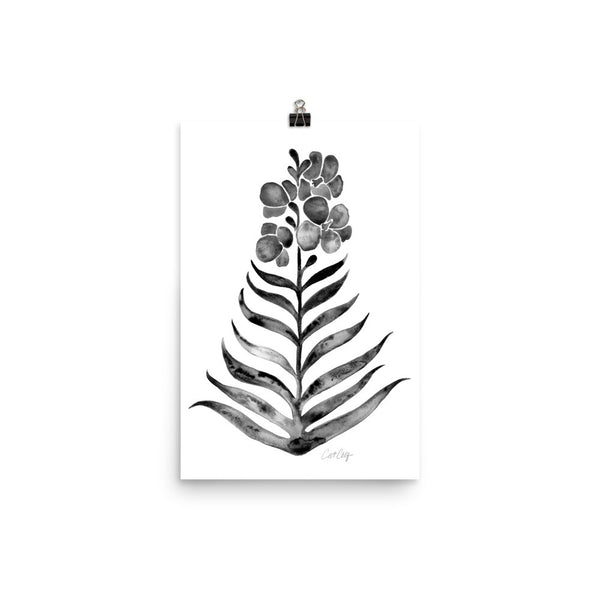 Black Orchid Bloom • Art Print