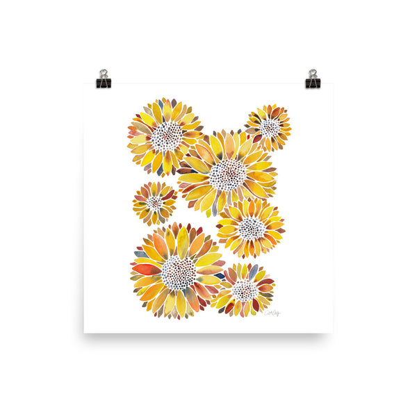 Sunflower Blooms – Yellow