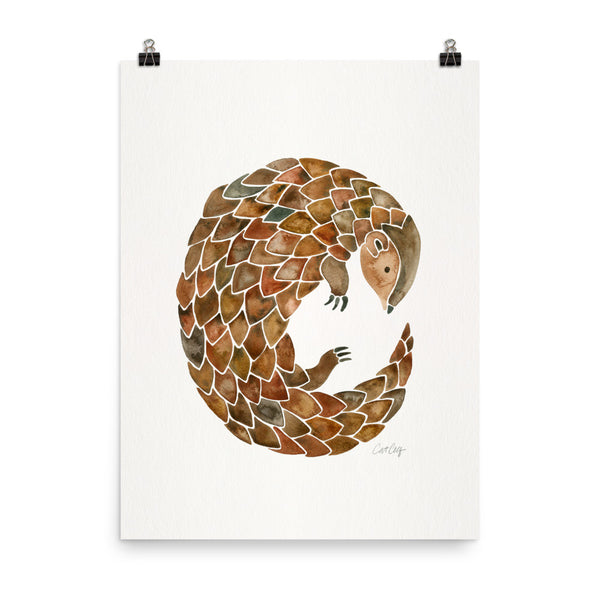 Pangolin • Art Print