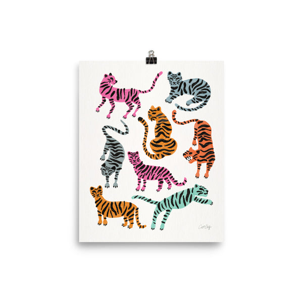 Tiger Collection - Pink & Blue